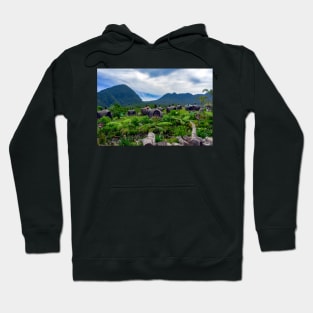 middle earth 2 Hoodie